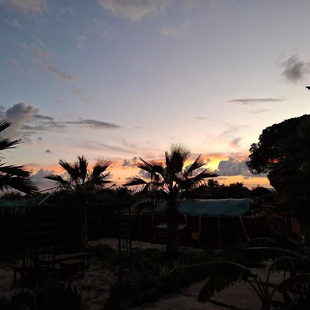 Turtle Island Apartments Santa Croce Camerina Luaran gambar