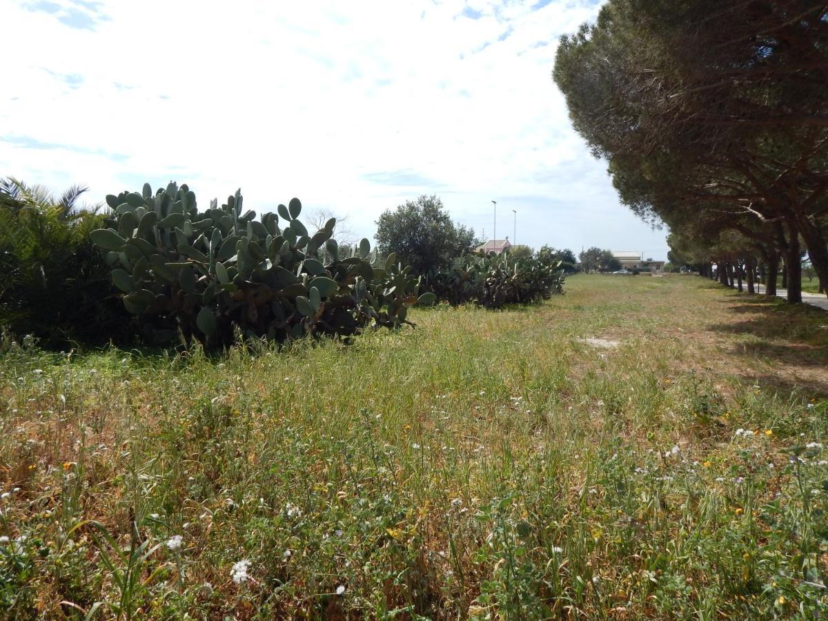 Turtle Island Apartments Santa Croce Camerina Luaran gambar