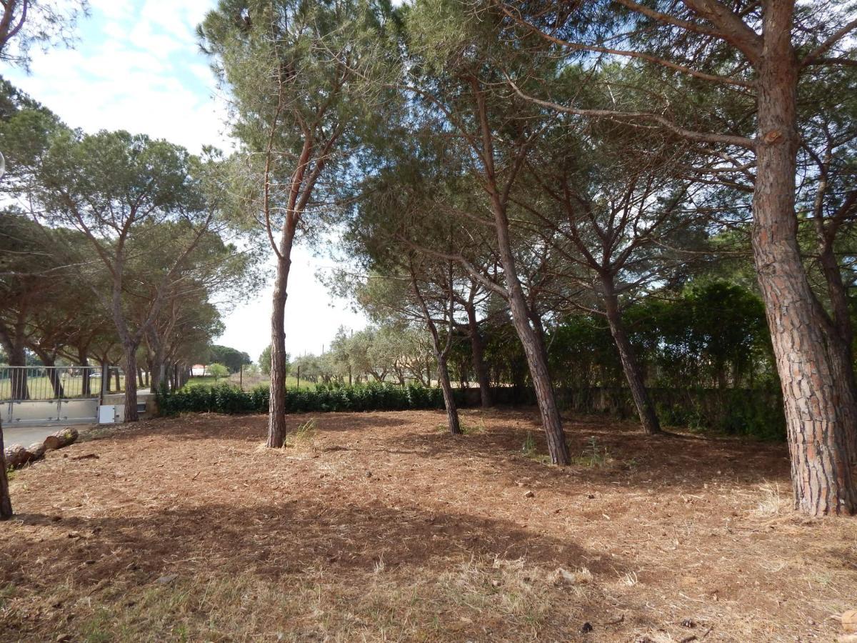 Turtle Island Apartments Santa Croce Camerina Luaran gambar