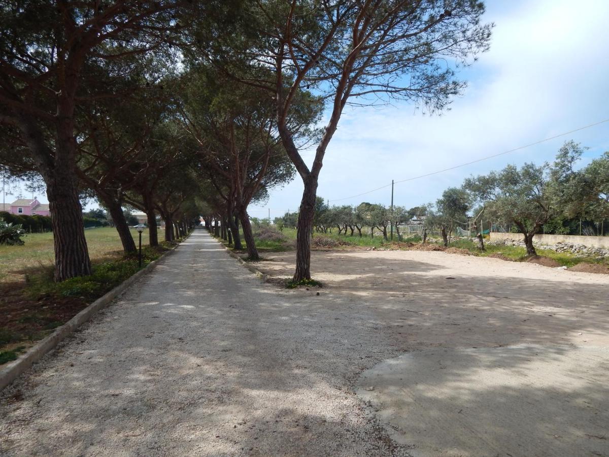 Turtle Island Apartments Santa Croce Camerina Luaran gambar