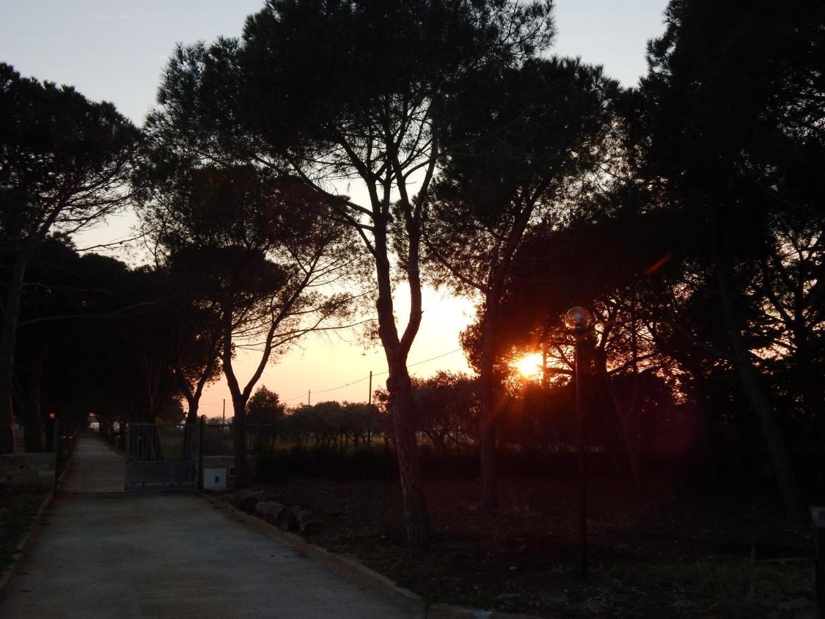 Turtle Island Apartments Santa Croce Camerina Luaran gambar