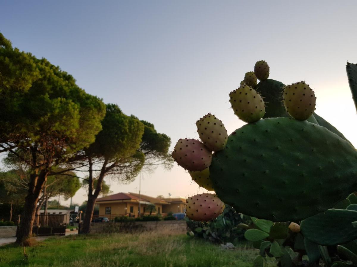 Turtle Island Apartments Santa Croce Camerina Luaran gambar