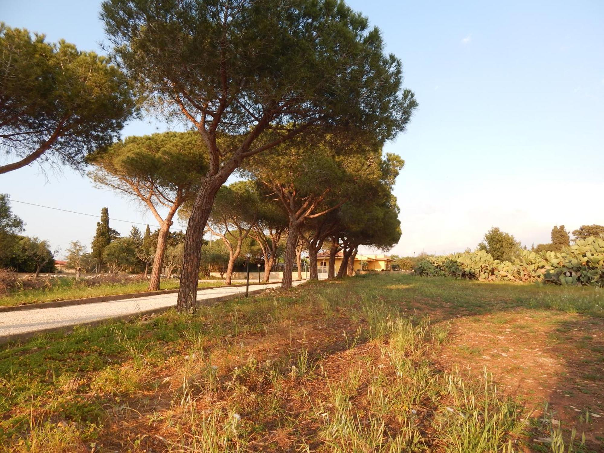 Turtle Island Apartments Santa Croce Camerina Luaran gambar