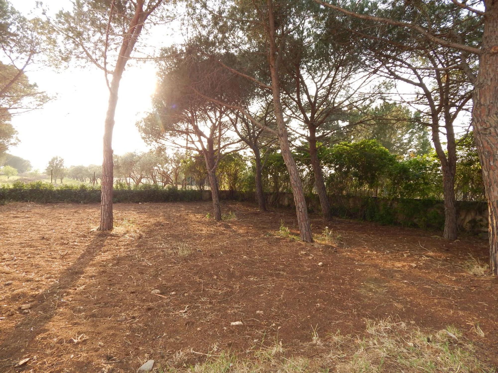 Turtle Island Apartments Santa Croce Camerina Luaran gambar